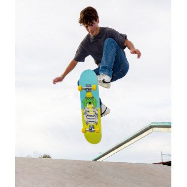 Skateboard Kicker green Dog